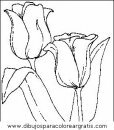 naturaleza/flores/flores_011.JPG