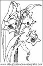naturaleza/flores/flores_012.JPG