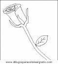 naturaleza/flores/flores_013.JPG