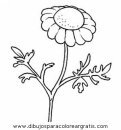 naturaleza/flores/flores_017.JPG