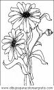 naturaleza/flores/flores_018.JPG