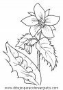 naturaleza/flores/flores_023.JPG