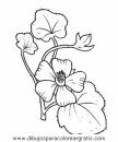 naturaleza/flores/flores_025.JPG