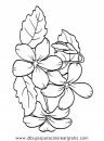 naturaleza/flores/flores_031.JPG