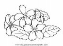 naturaleza/flores/flores_032.JPG