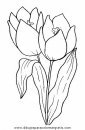 naturaleza/flores/flores_039.JPG