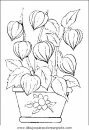 naturaleza/flores/flores_042.JPG