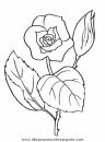 naturaleza/flores/flores_044.JPG