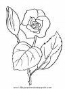 naturaleza/flores/flores_045.JPG