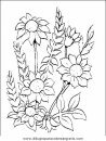 naturaleza/flores/flores_049.JPG
