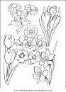 naturaleza/flores/flores_050.JPG