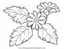 naturaleza/flores/flores_052.JPG