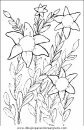 naturaleza/flores/flores_054.JPG