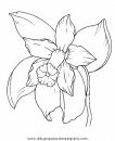naturaleza/flores/flores_057.JPG