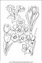 naturaleza/flores/flores_061.JPG