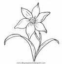 naturaleza/flores/flores_064.JPG