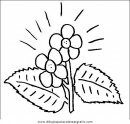 naturaleza/flores/flores_067.JPG