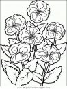 naturaleza/flores/flores_068.JPG