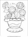 naturaleza/flores/flores_070.JPG