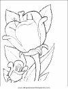naturaleza/flores/flores_071.JPG