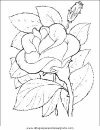 naturaleza/flores/flores_077.JPG