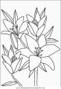 naturaleza/flores/flores_087.JPG