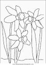 naturaleza/flores/flores_088.JPG