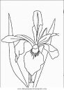 naturaleza/flores/flores_089.JPG