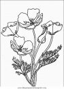 naturaleza/flores/flores_092.JPG
