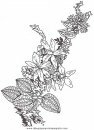 naturaleza/flores/flores_094.JPG