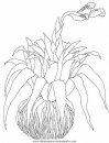 naturaleza/flores/flores_096.JPG