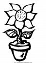 naturaleza/flores/flores_104.JPG