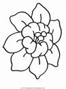 naturaleza/flores/flores_106.JPG