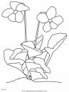 naturaleza/flores/flores_107.JPG