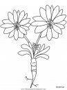 naturaleza/flores/flores_124.JPG