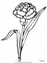 naturaleza/flores/flores_129.JPG