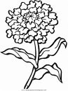 naturaleza/flores/flores_139.JPG