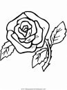 naturaleza/flores/flores_141.JPG
