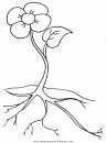 naturaleza/flores/flores_147.JPG
