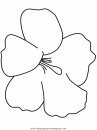 naturaleza/flores/flores_155.JPG
