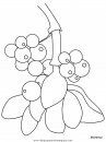 naturaleza/flores/flores_159.JPG