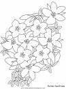 naturaleza/flores/flores_166.JPG