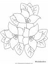 naturaleza/flores/flores_168.JPG