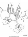 naturaleza/flores/flores_171.JPG