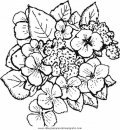 naturaleza/flores/flores_180.JPG