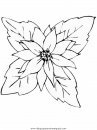 naturaleza/flores/flores_183.JPG