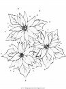 naturaleza/flores/flores_184.JPG