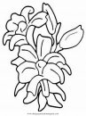 naturaleza/flores/gladiolo_gladiolos.JPG