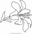 naturaleza/flores/lirios_1.JPG