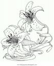 naturaleza/flores/lirios_4.JPG